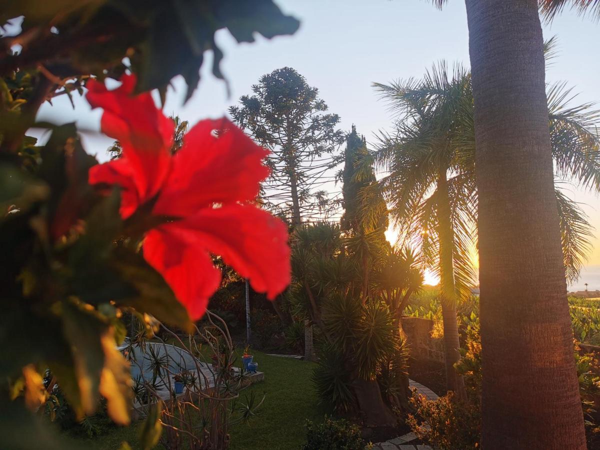 Casa De Huespedes By Exyca Villa La Orotava Dış mekan fotoğraf
