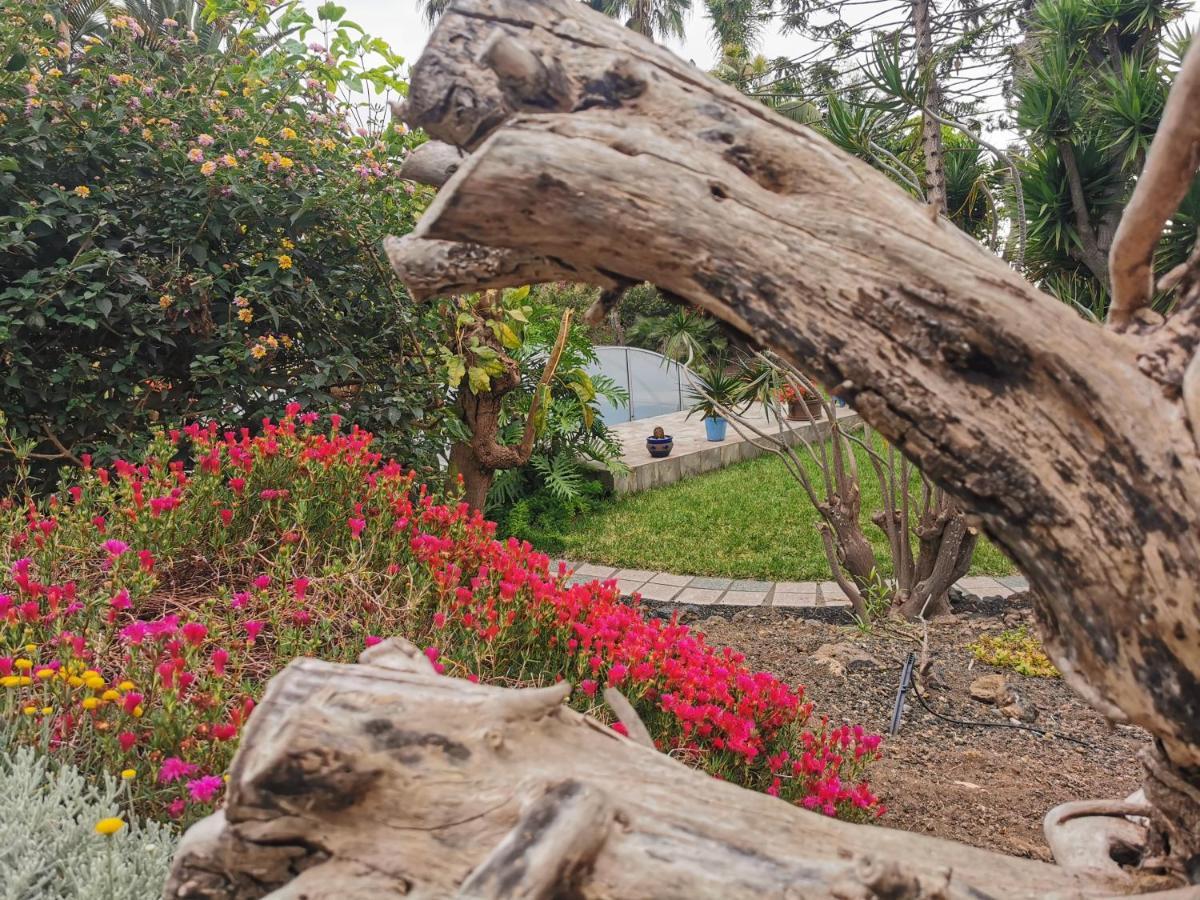 Casa De Huespedes By Exyca Villa La Orotava Dış mekan fotoğraf